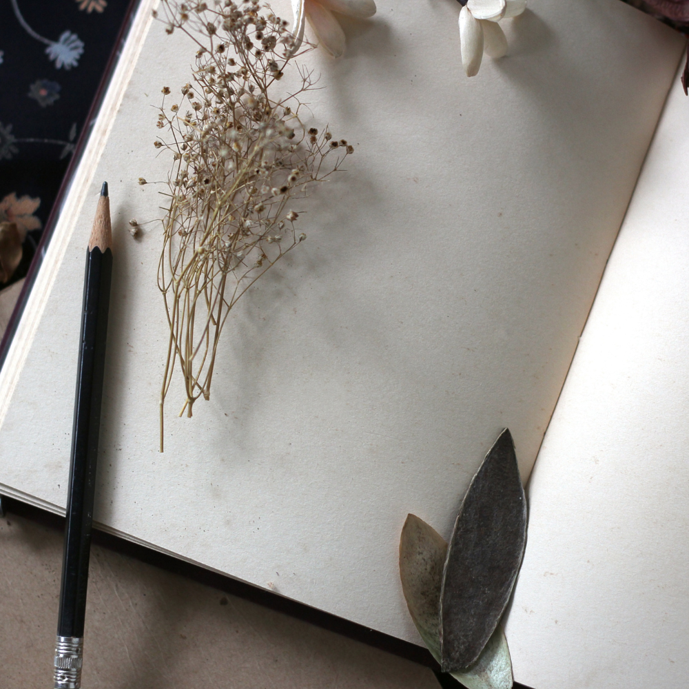 Foto di un quaderno aperto con matita e fiori secchi poggiati su una pagina bianca